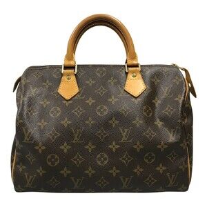 Louis Vuitton Monogram Speedy Handbag